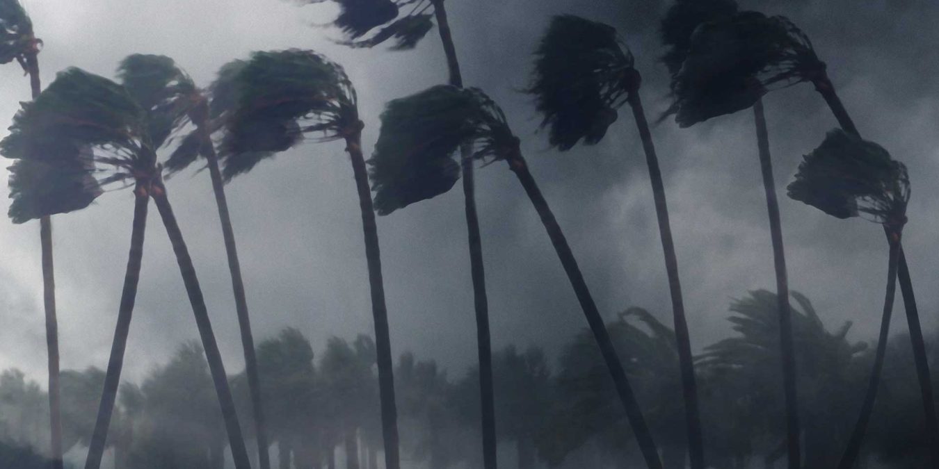 hurricanes_t20_P3VjxR